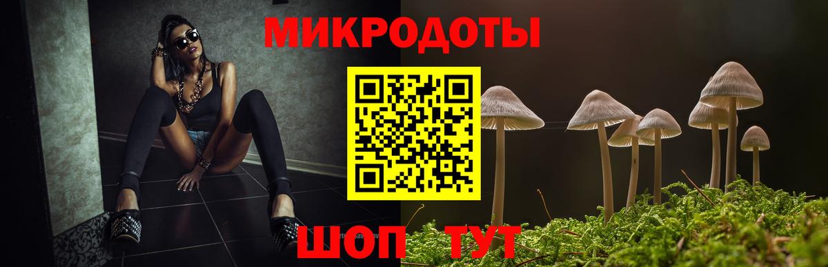 Галлюциногенные грибы Psilocybe Лысьва